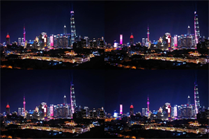 上海后花园——迷失在城市中的绿洲